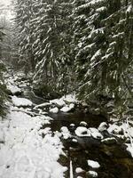 winter landscape with snowy mountains and trees Amazing winter background photo