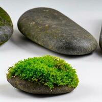 Rocks stones on the beach photo