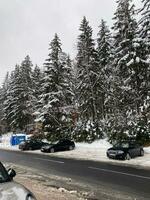 invierno paisaje con Nevado montañas y arboles increíble invierno antecedentes foto