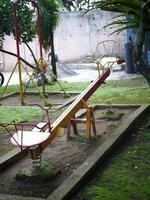 Playground in the Park zoo photo