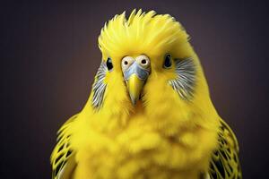 AI generated one yellow budgerigar on a branch on white background photo