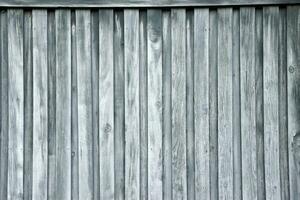 The background is made of green wooden boards. Wooden fence. Old boards. photo