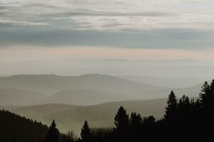 Soft fog in the mountains during sunset photo