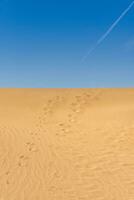 Foot traces of a couple in the Death Valley desert photo