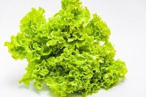 Green salad leaves on a white background photo