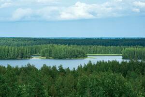 natural landscape with forest and lakes, aerial view photo