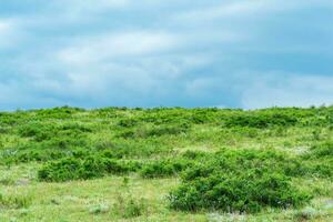 partially blurred landscape with spring mountain shrubland photo