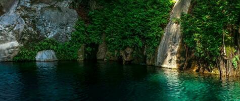 tropical vegetation on rocks in a canyon near clear blue water photo