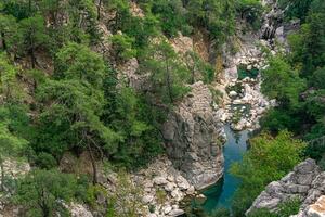 wooded mountain canyon with a river in a rocky bed, top view photo