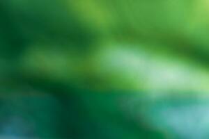 abstract blurred green background photo