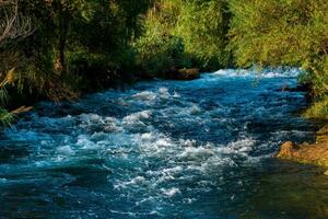 fast mountain river flows among the wooded banks photo