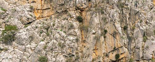 paisaje, textura - escarpado montaña acantilado con grietas y vegetación foto