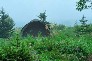 tourist tent among the vegetation in the foggy morning landscape photo
