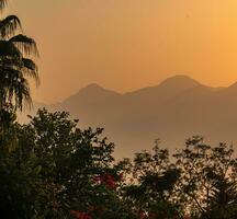 twilight tropical landscape - vegetation silhouettes and misty mountains during sunset photo