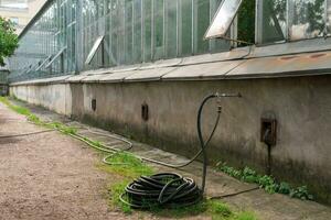 rubber watering hose near the wall of the greenhouse, greenhouse complex infrastructure photo