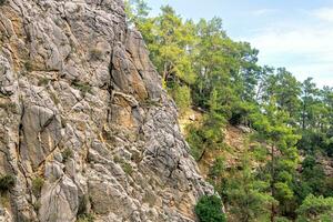 montaña paisaje - escarpado acantilado con gamuza y enselvado Pendiente foto