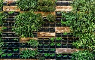 background - elements of vertical gardening, living wall photo