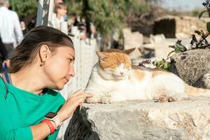 girl sticks to a dormant cat outdoor photo