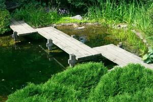 zigzag bridge over a pond in a Japanese garden photo