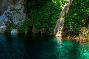 tropical vegetation on rocks in a canyon near clear blue water photo