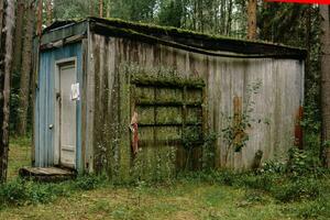 old shed in the forest covered with moss and lichens photo