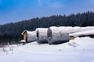 cambio acampar con cilíndrico portátil edificios en el invierno del Norte taiga foto