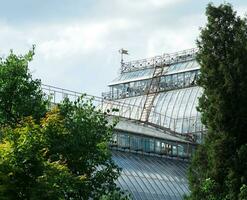 view of the dome of a large vintage palm greenhouse behind the trees photo