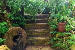 fragment of the interior of an ancient greenhouse with steps and a detail of an old mechanism among the plants photo