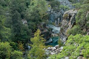 landscape with a small mountain river in a wooded canyon in the Taurus mountains, Turkey photo