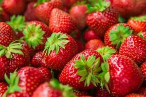 picked fresh ripe strawberries close up photo