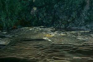 subterranean landscape, speleotremes in an underground cave photo