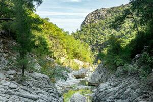 mountain landscape with a river in a rocky valley photo