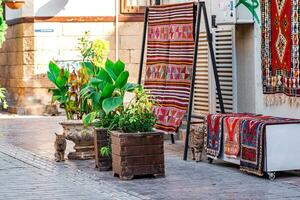 calle gatos siguiente a el alfombra tienda en el histórico centrar de antalya, Turquía foto