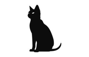 An European Burmese Cat black Silhouette Vector art isolated on a white background