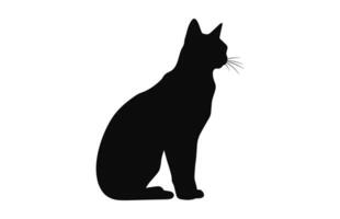 European Burmese Cat Silhouette black Vector