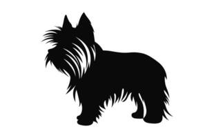 Yorkshire Terrier Dog Vector black Silhouette isolated on a white background