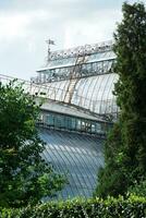 view of the dome of a large vintage palm greenhouse behind the trees photo