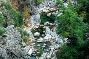 wooded mountain canyon with a stream in a rocky bed, top view photo