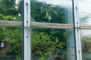 section of a glass wall of a tropical flower greenhouse with an open window, outside view photo