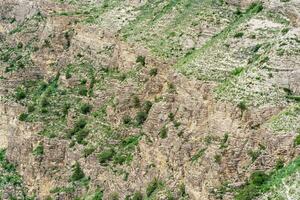 landscape of a mountain slope with weathered rocks and screes covered with shrubs photo