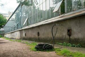 rubber watering hose near the wall of the greenhouse, greenhouse complex infrastructure photo