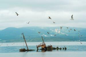 sunken ship against the backdrop of a sea bay with foggy mountains in the background photo