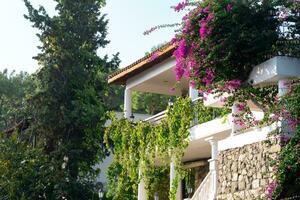 small private house, villa among flowers and greenery photo