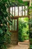 interior of an old greenhouse with a collection of tropical plants photo