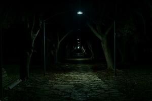 dark alley in the park, barely lit by the light of rare lanterns photo