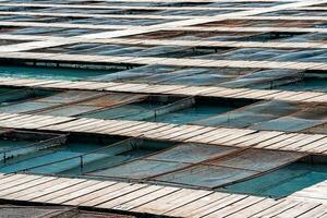 aquaculture installations with fish cages on a fish farm photo