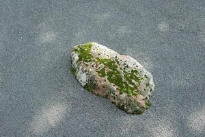 element of japanese dry rock garden, mossy cobblestone among gravel area photo