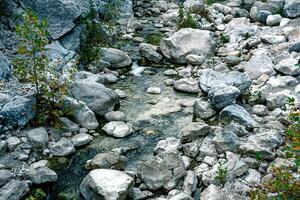 wooded mountain canyon with a stream in a rocky bed, top view photo