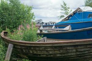 grass and flowers sprouted in an old wooden boat lying on the shore photo