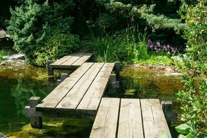 zigzag bridge over a pond in a Japanese garden photo